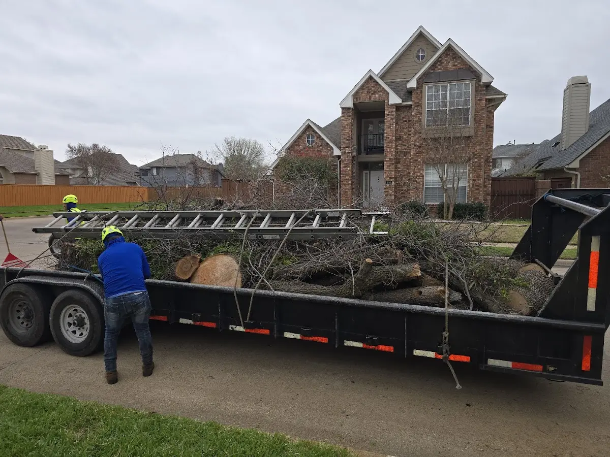 Expert Tree Removal with proper safety equipment in Clarksville